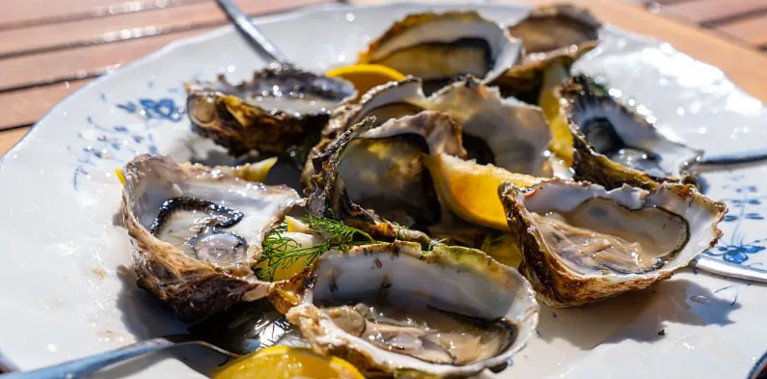 Guests enjoy delicious fresh seafood on board hotel barge Anjodi